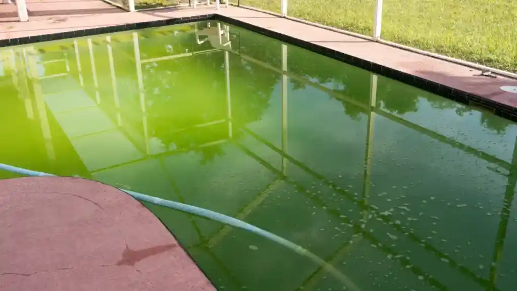 Como limpar uma piscina verde