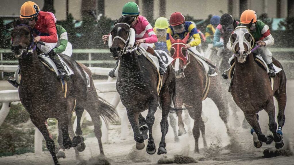 Os melhores eventos de corrida de cavalos para fazer uma esporte bet pre aposta