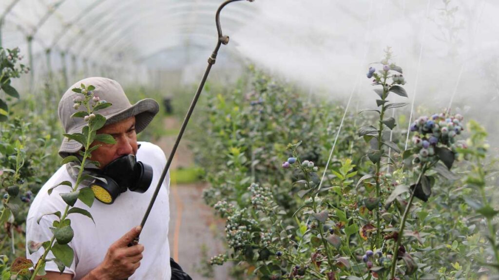Pesticidas: O que são, Para que servem e Diferença de pesticidas